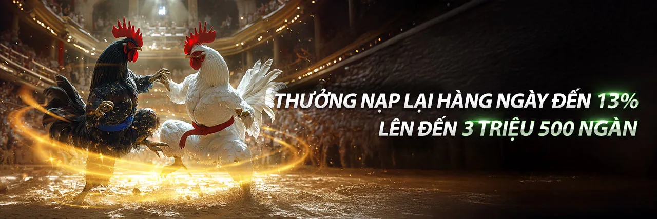 Đá gà trực tuyến KP88 WIN 2026
